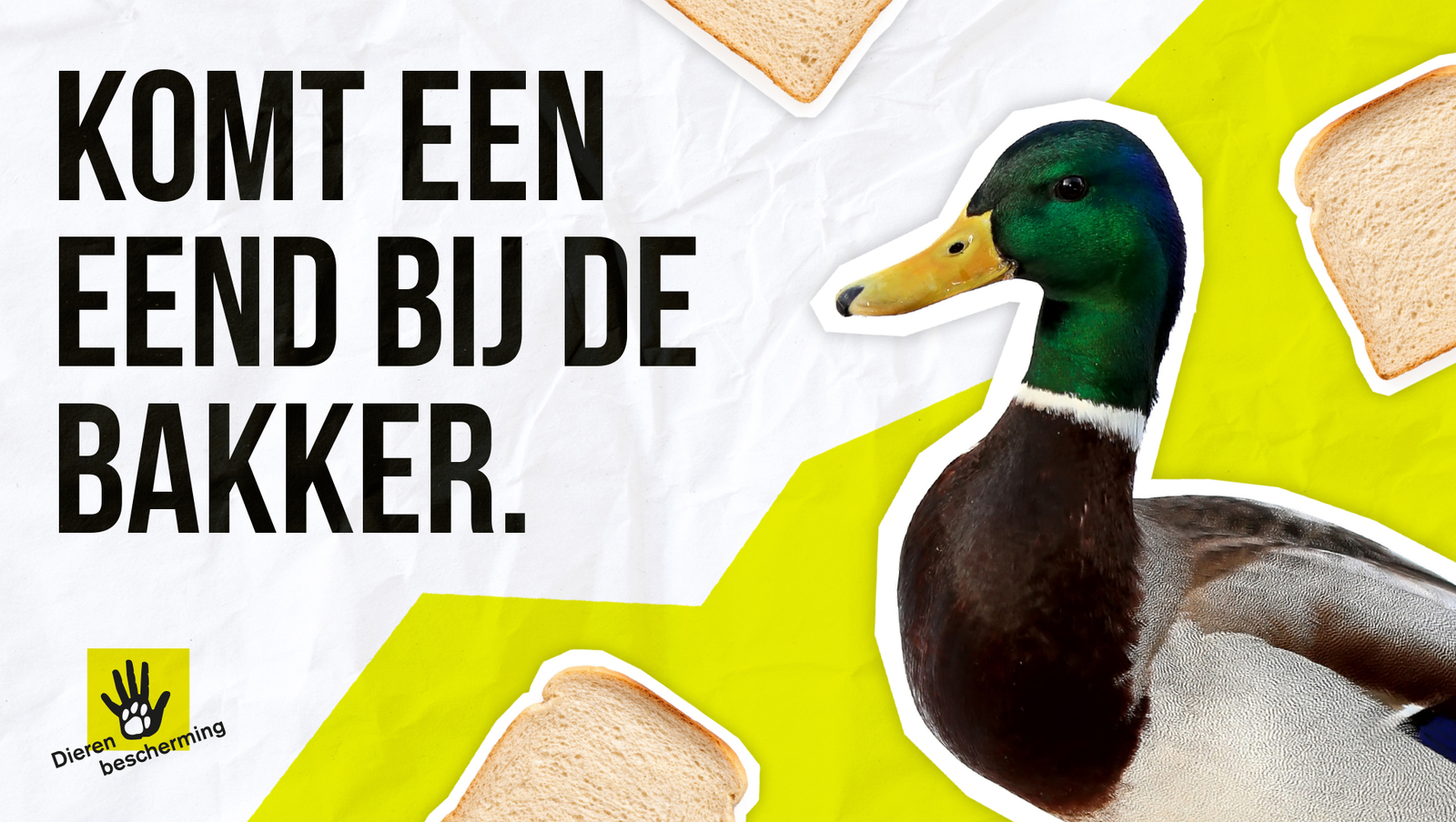 Dierenbescherming 