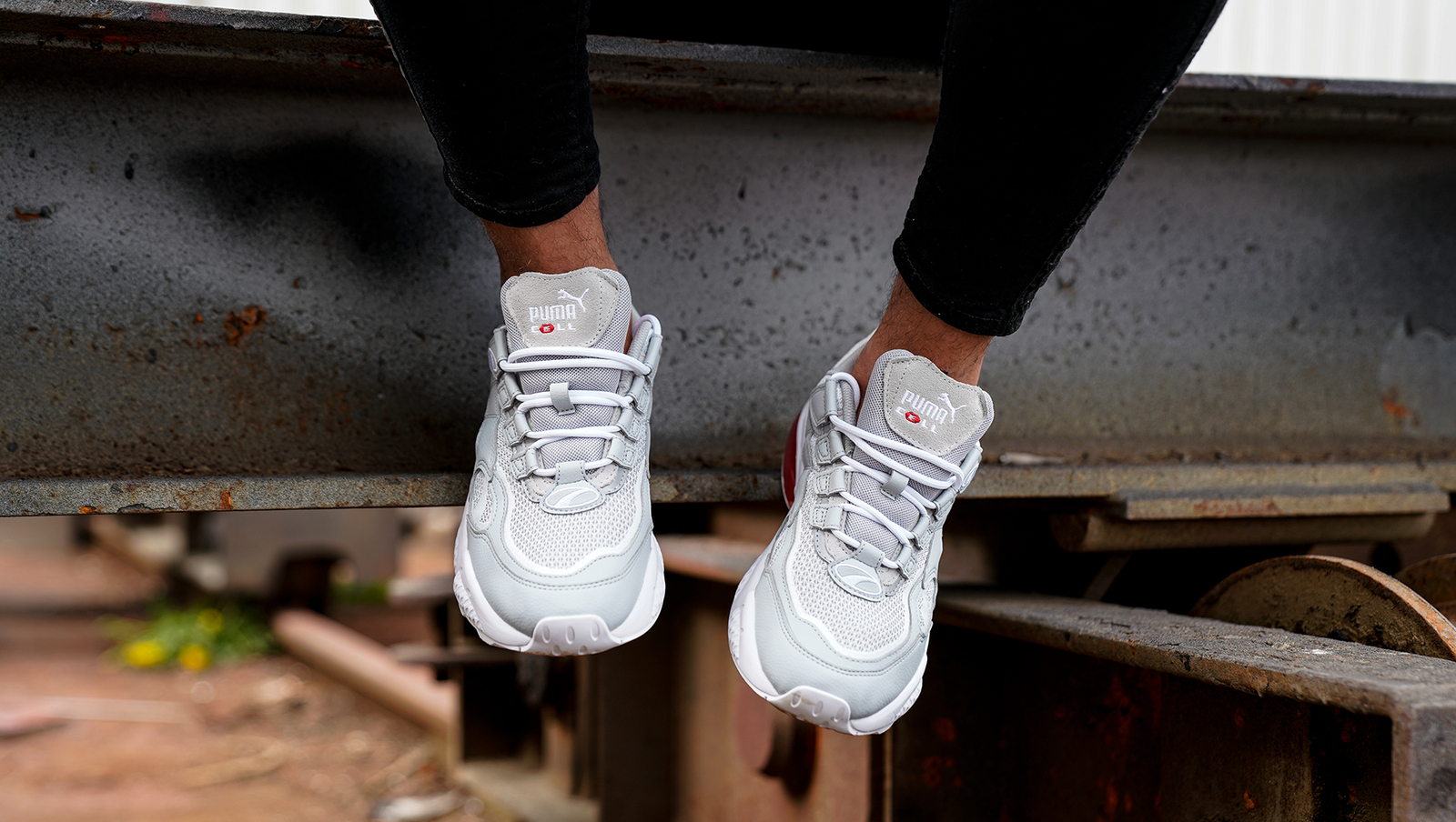 Puma