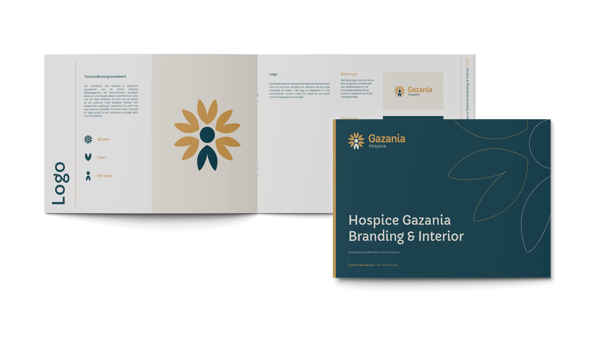 Gazania